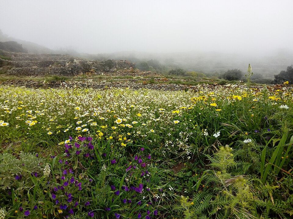 Foto: La mia avventura (CC BY-SA 4.0) La Montagna Grande di Pantelleria, dove si trova il Bagno Asciutto di Benikulà